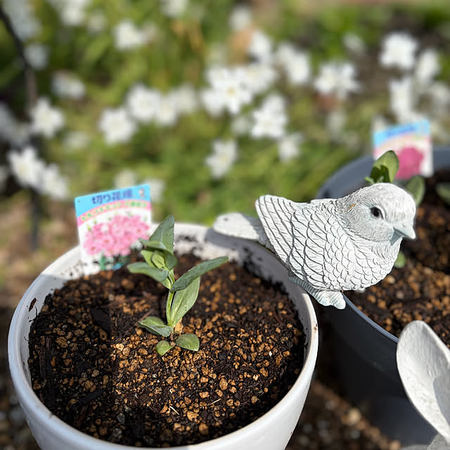 ritsukoさんの部屋