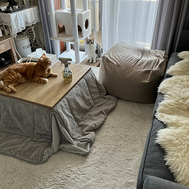 Atelier.mさんの実例写真