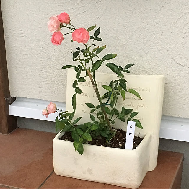 rubeさんの実例写真