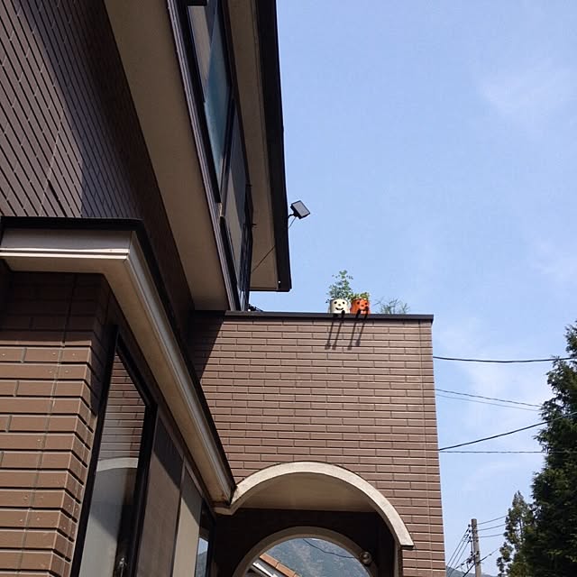 L.さんの実例写真
