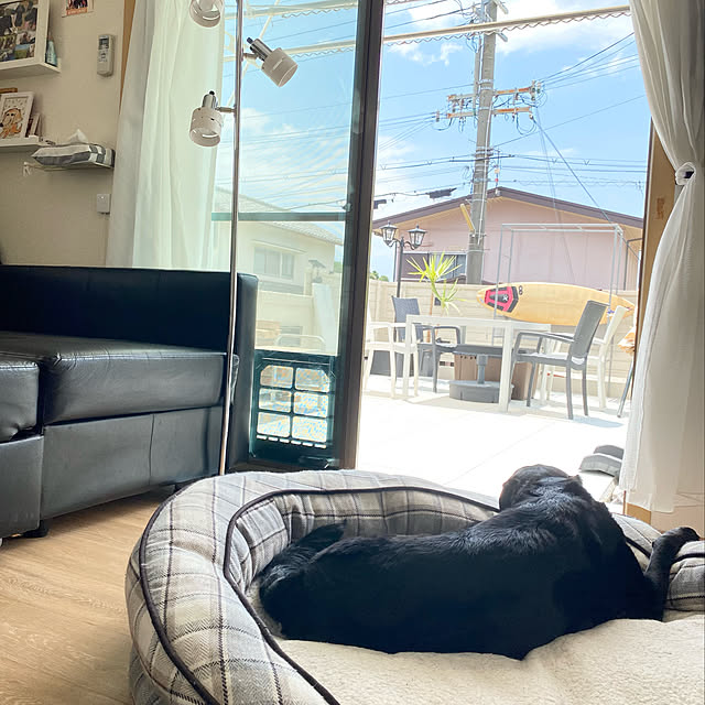 minu5656さんの実例写真