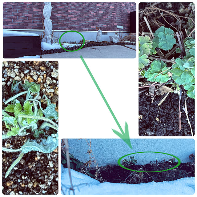 usagiさんの部屋