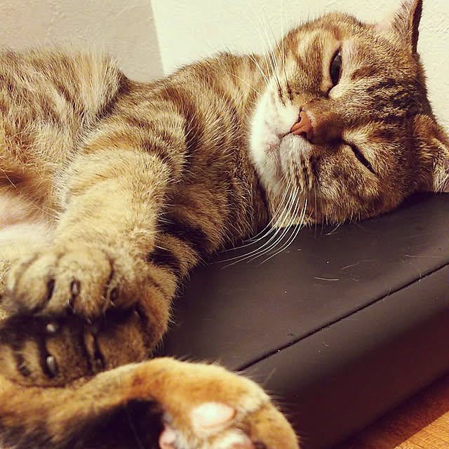 Y.Gさんの実例写真