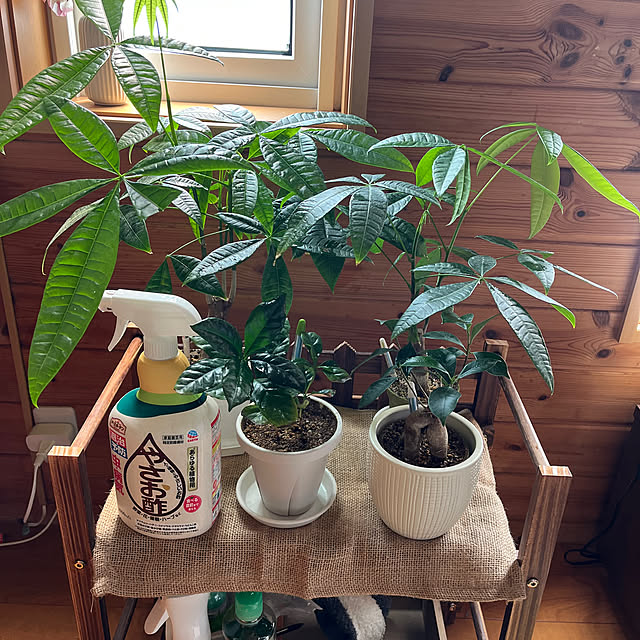 mogumoguさんの実例写真