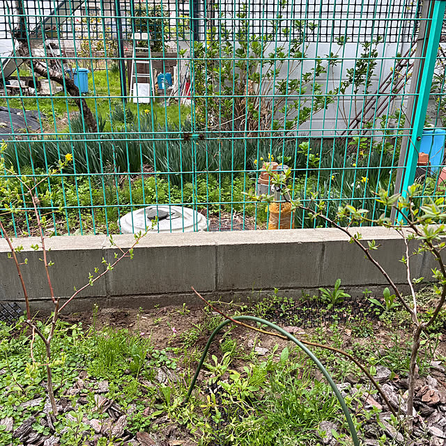 sansanさんの部屋