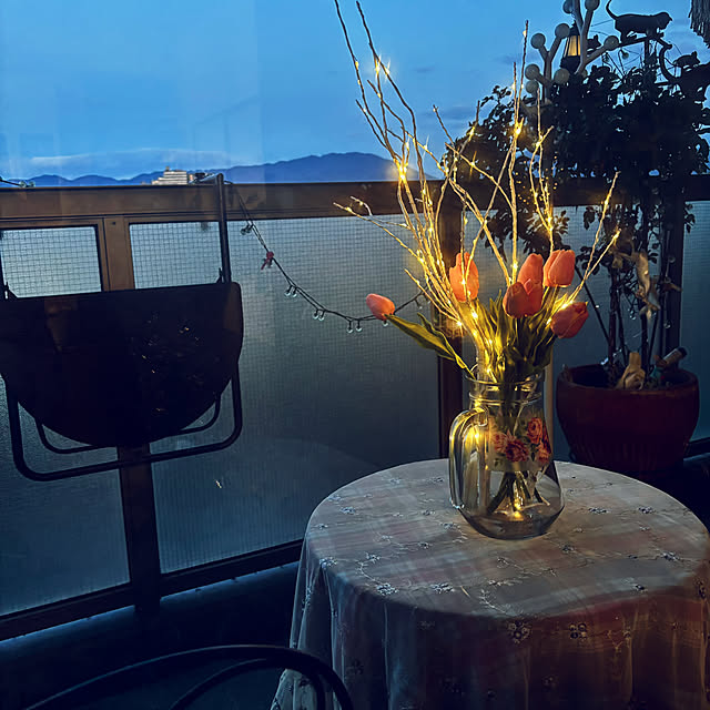 tsuyoppeさんの実例写真