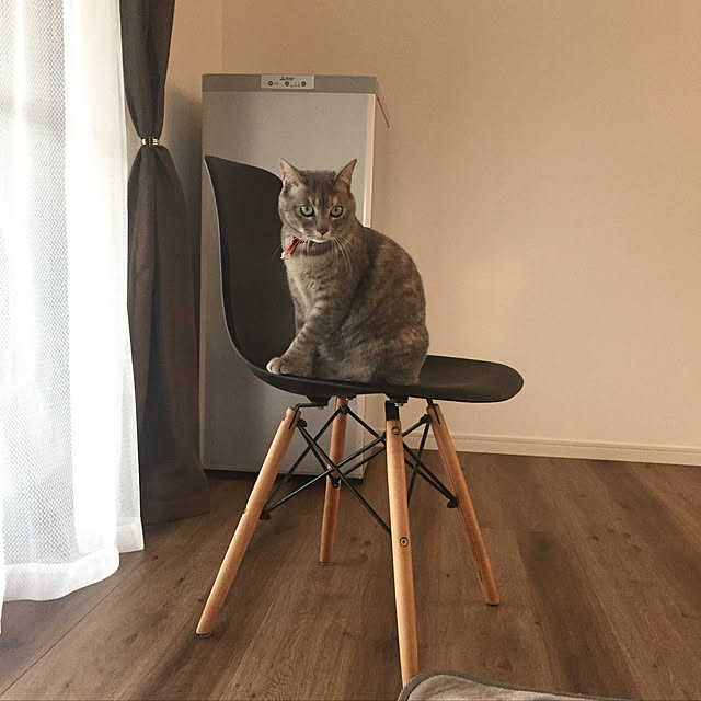 oku0728さんの実例写真