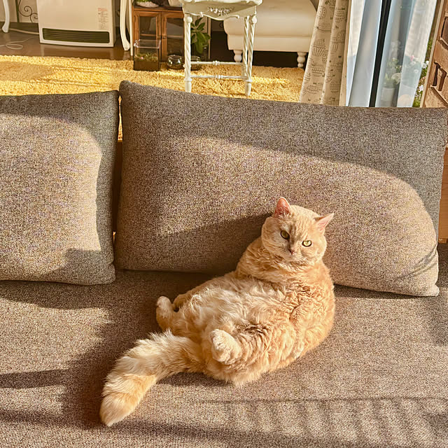 naokoさんの部屋