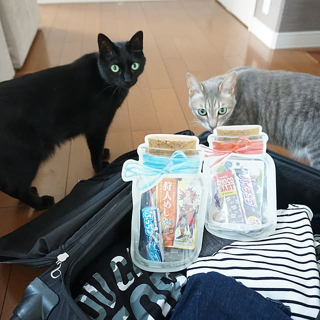 arutotoさんの実例写真
