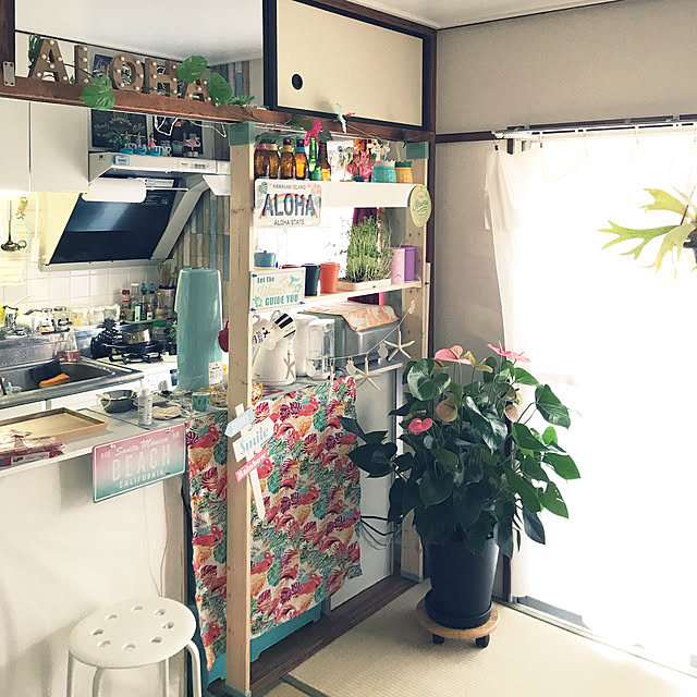 ariceさんの実例写真