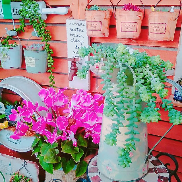 hana4504さんの実例写真