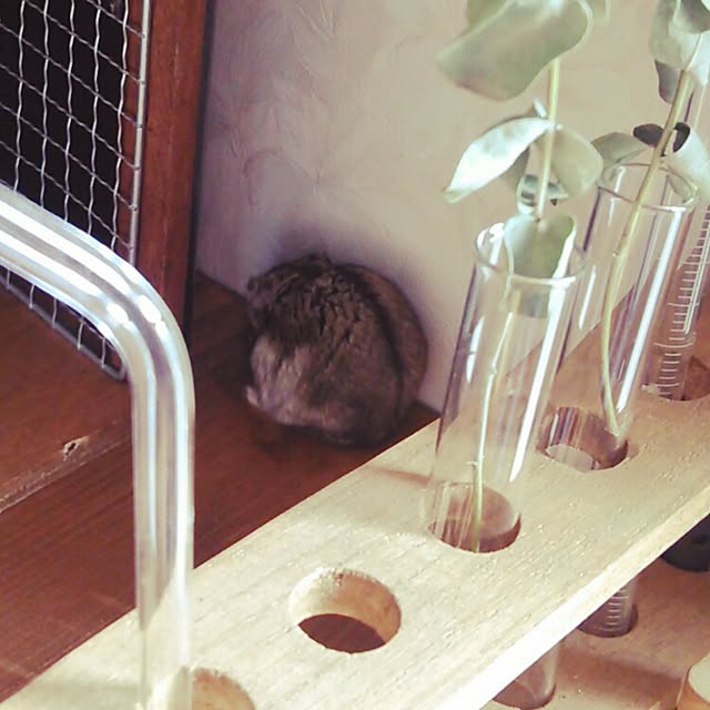 miwa14さんの実例写真