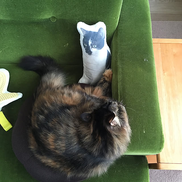 mikomaruさんの実例写真