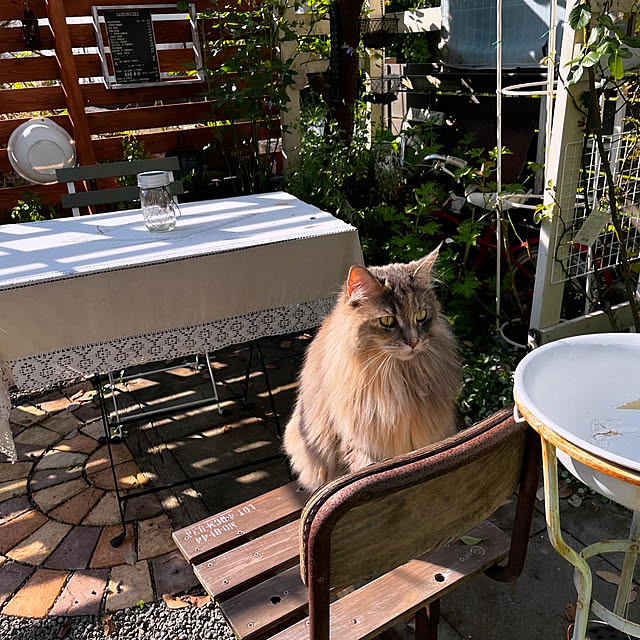 mayumiさんの部屋