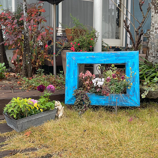 nobikoさんの部屋