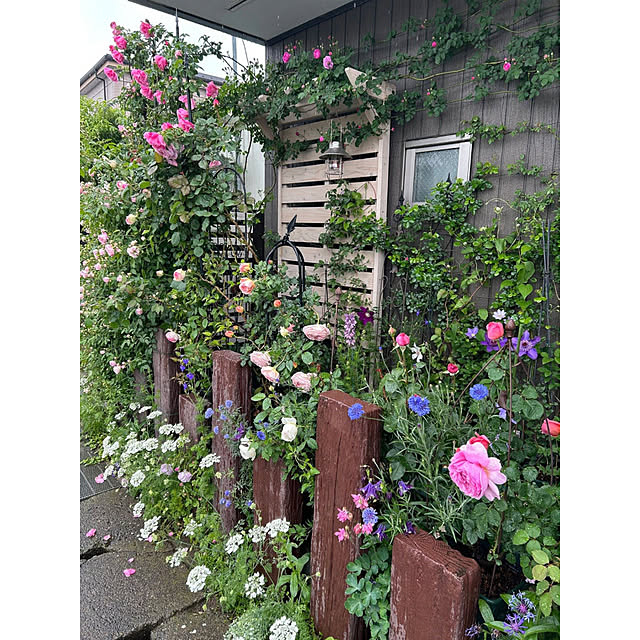 WOODPROさんの部屋