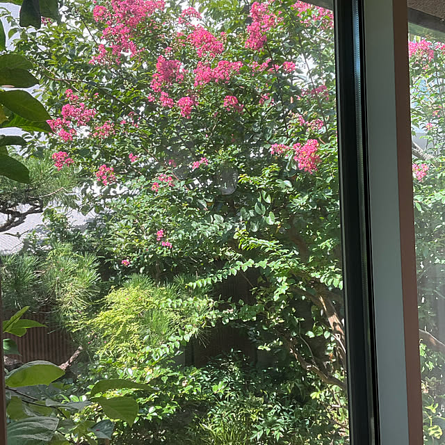kajitan_renovationさんの実例写真