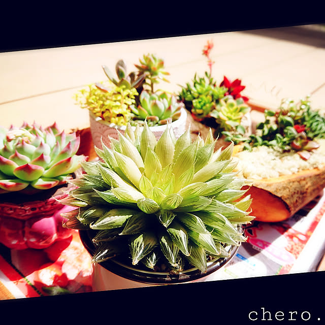 chero.さんの実例写真