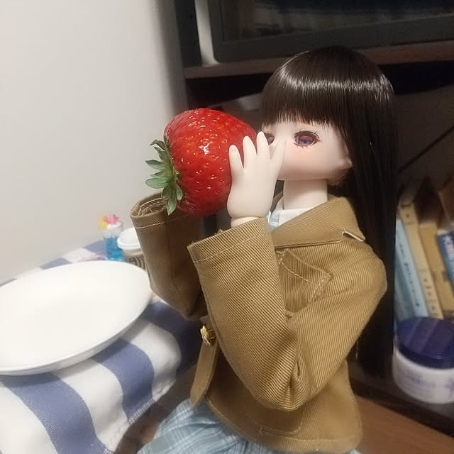 TORIGAI_2023.04さんの部屋