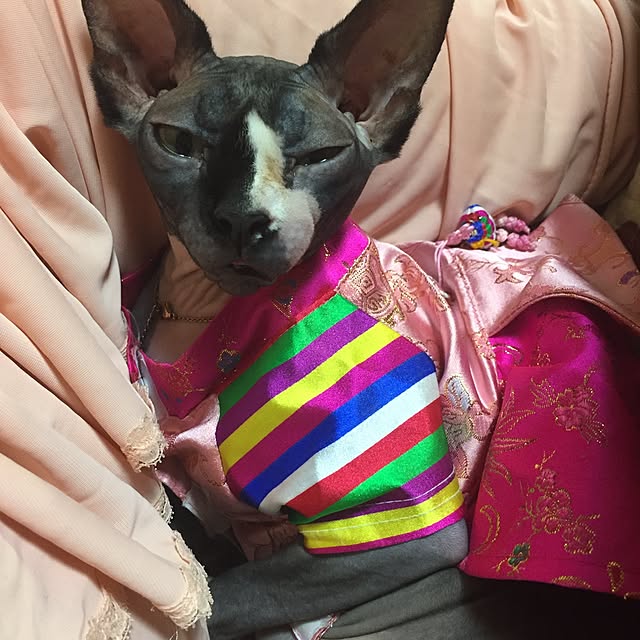 satukori0204さんの実例写真
