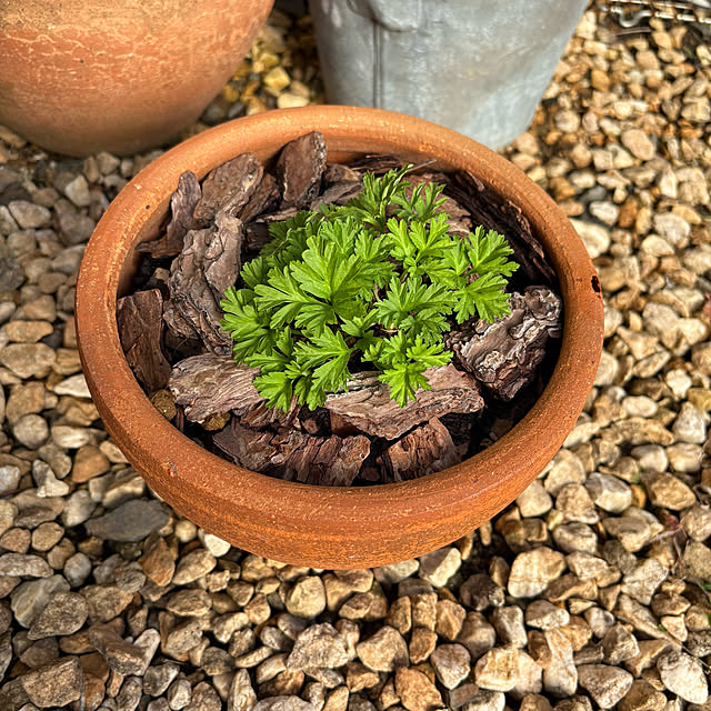 yukkoさんの部屋