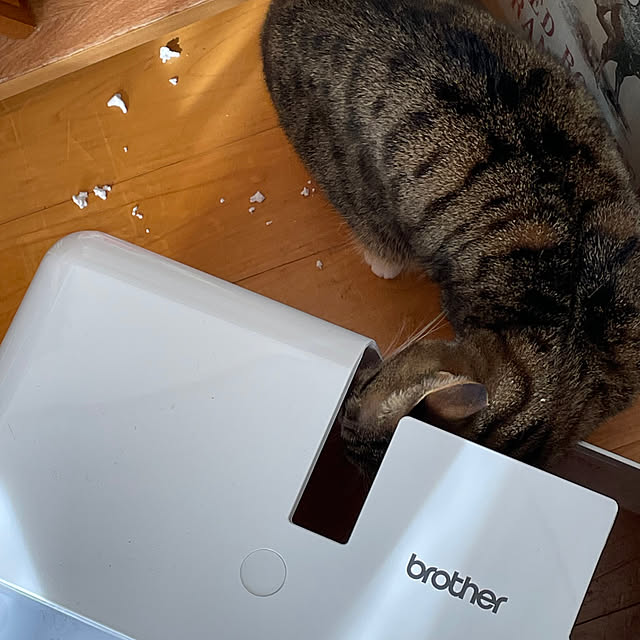 nobikoさんの部屋