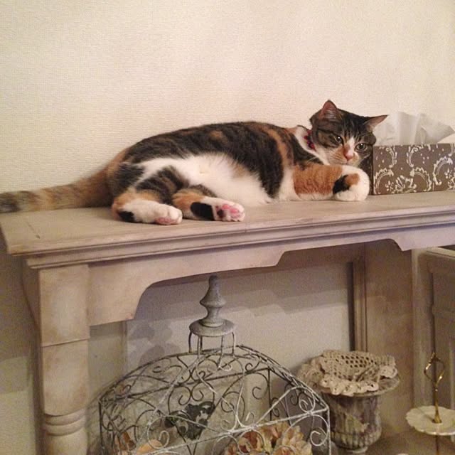saqura_apartment101さんの実例写真