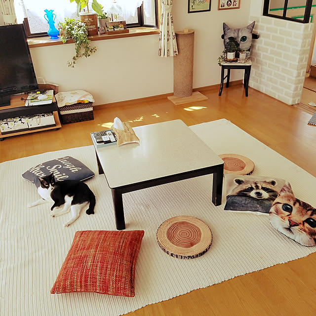 Kinanさんの実例写真