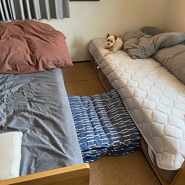 kikiさんの実例写真