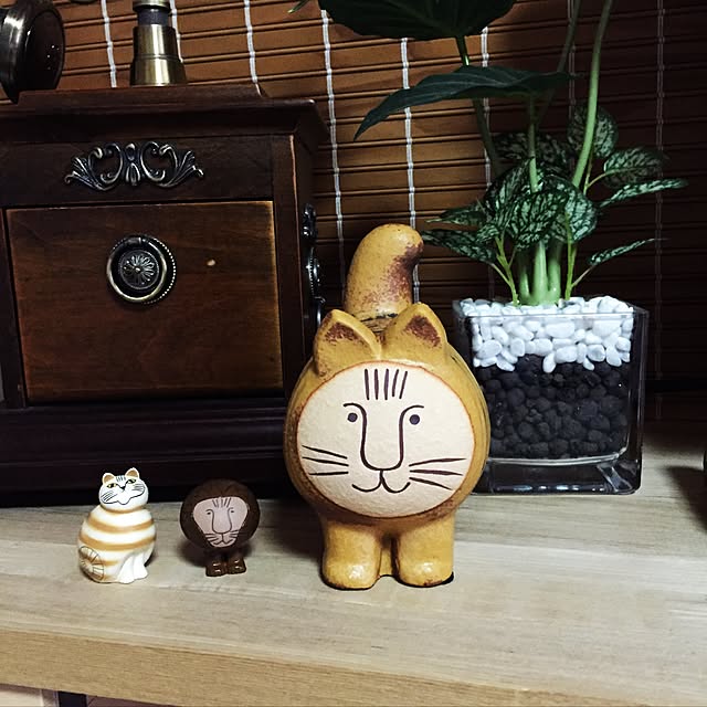 yocchiさんの実例写真