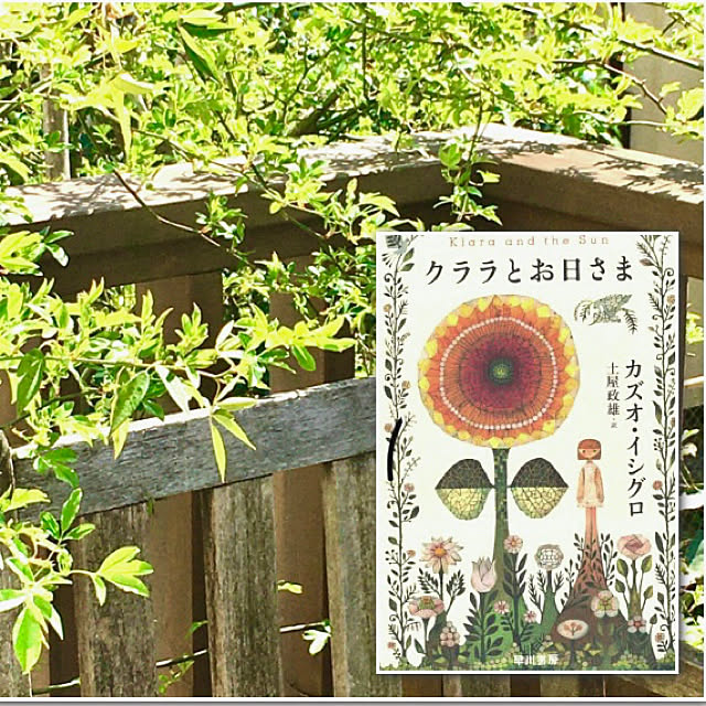 Claraさんの実例写真