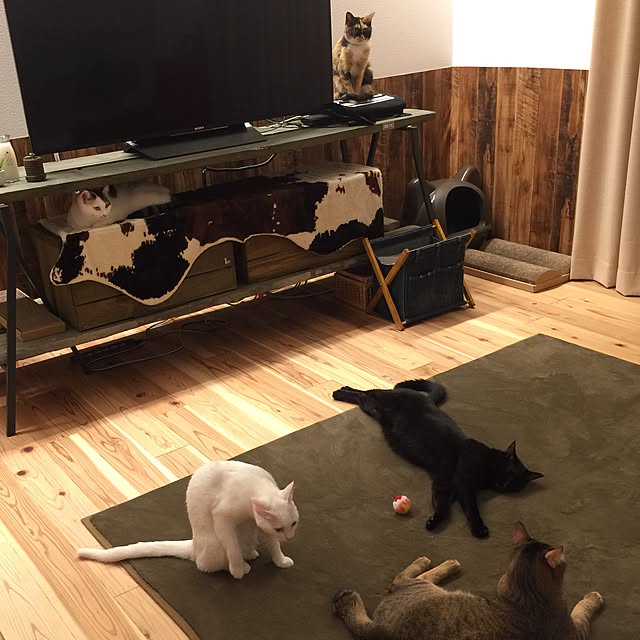 paipan720さんの実例写真