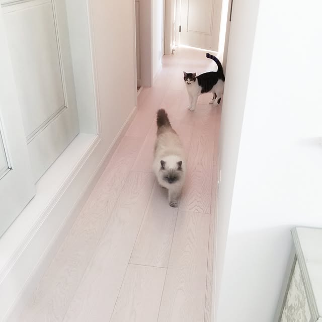 yuchiさんの実例写真