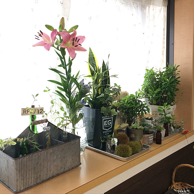 tudukiさんの実例写真