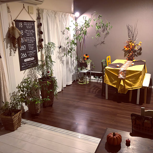 noma--1202さんの実例写真