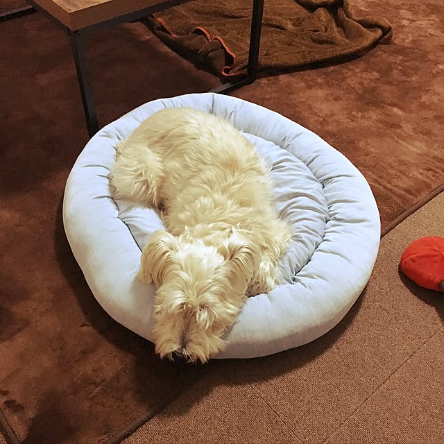 nisukuさんの実例写真