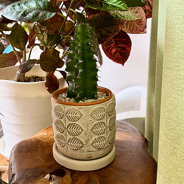 dadarikaさんの部屋