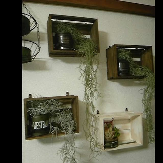 INDOORさんの実例写真