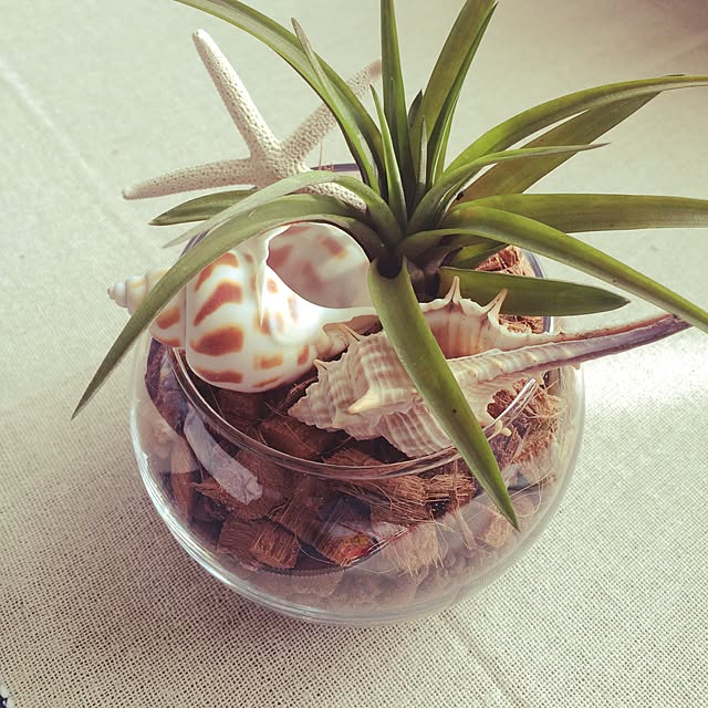 yukariさんの実例写真