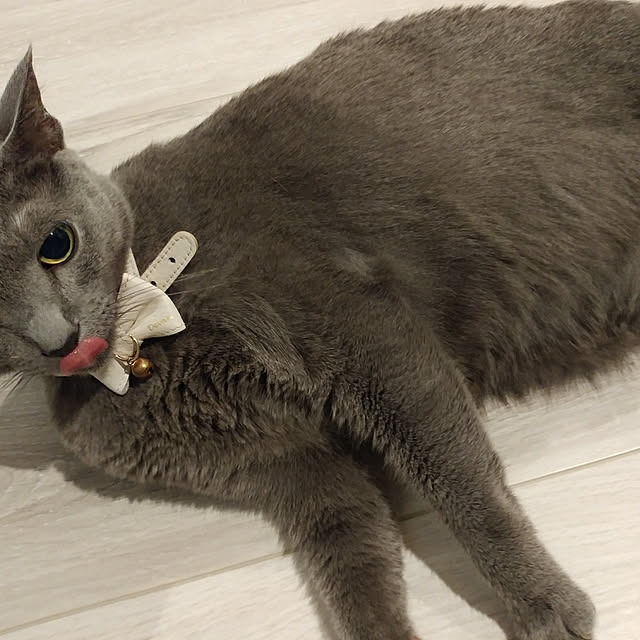 BLACKさんの実例写真