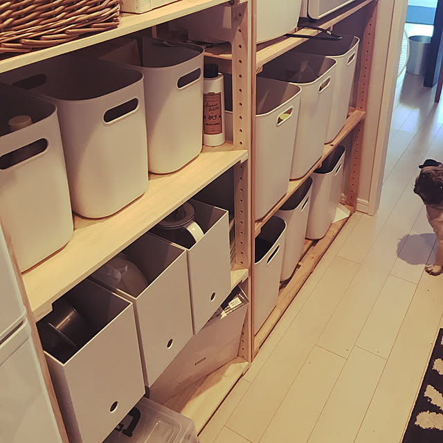 tikebe1117さんの実例写真