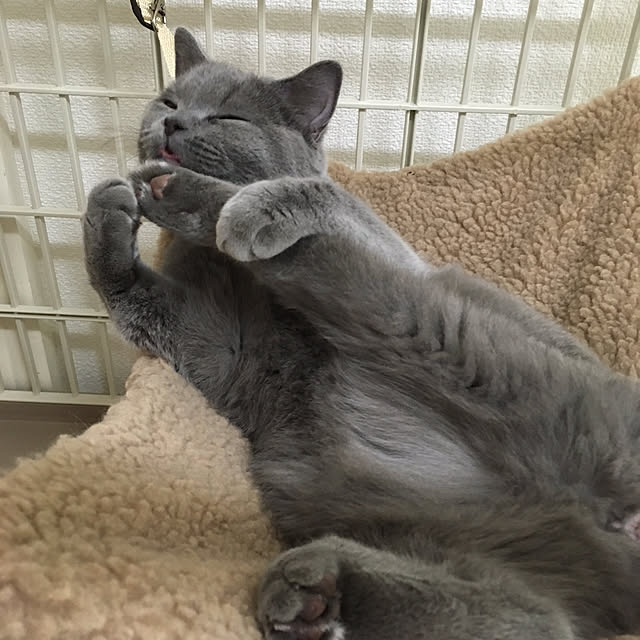 fionaさんの実例写真