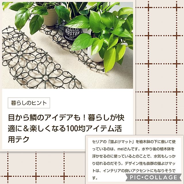 meiさんの実例写真