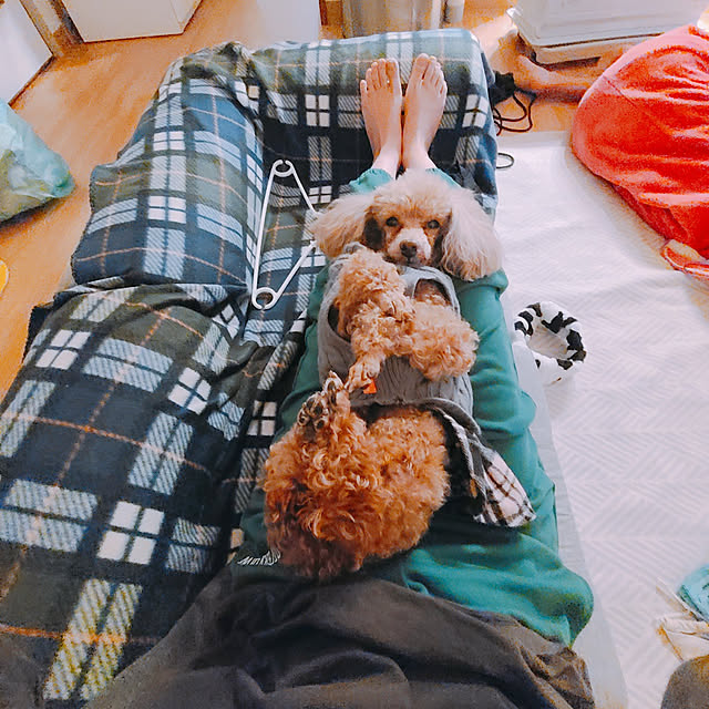 Miri.さんの実例写真