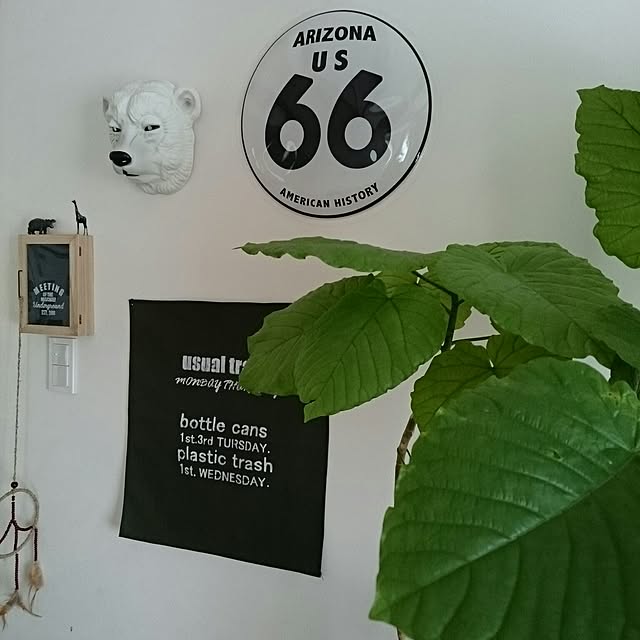 makotoさんの実例写真