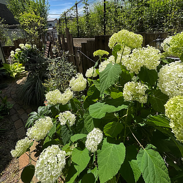 maimai0110さんの実例写真