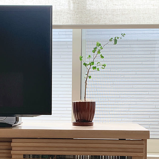 reichelさんの部屋
