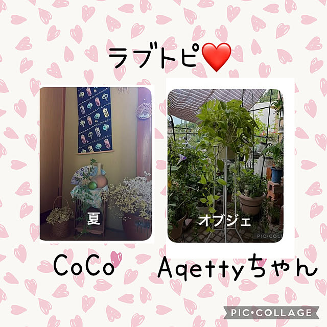 CoCo0617さんの実例写真