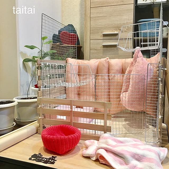 taitaiさんの実例写真