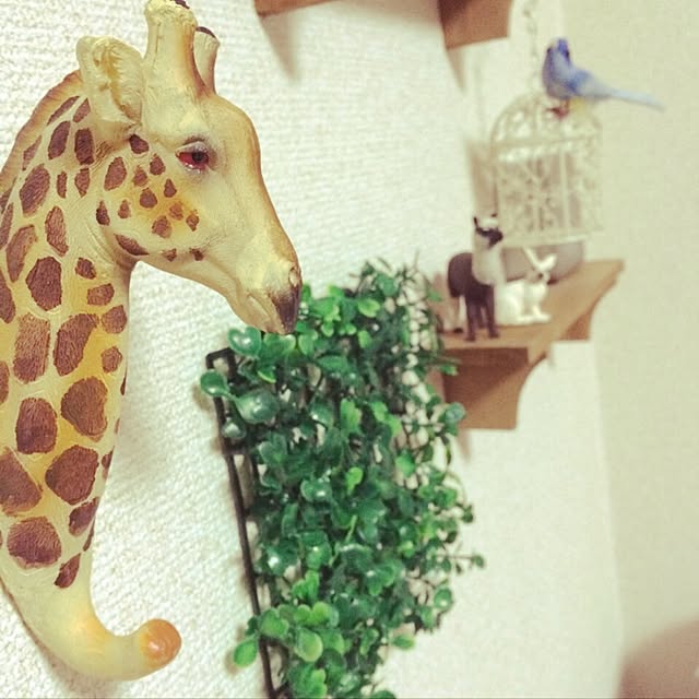 mahalloさんの実例写真